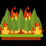 Fire Resources